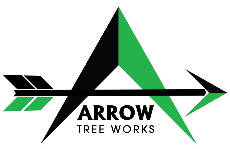 Photo for Community Spotlight:  Arrow Tree Works